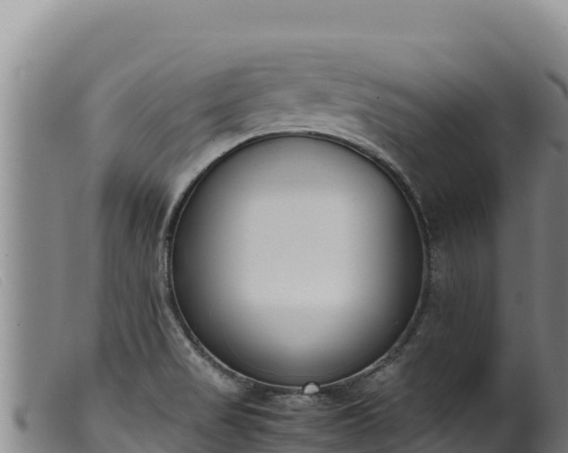 X0000099551517200805231138