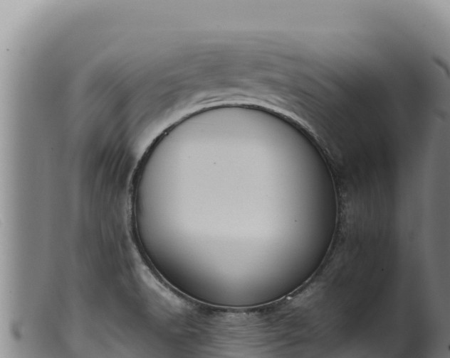 X0000099551518200805231138
