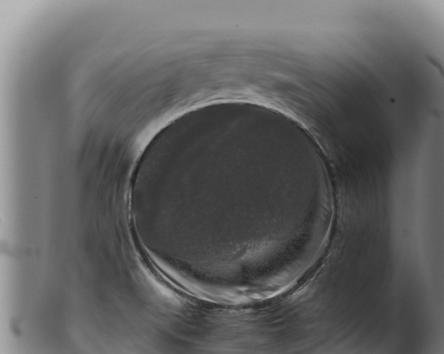 X0000099551519200805231139