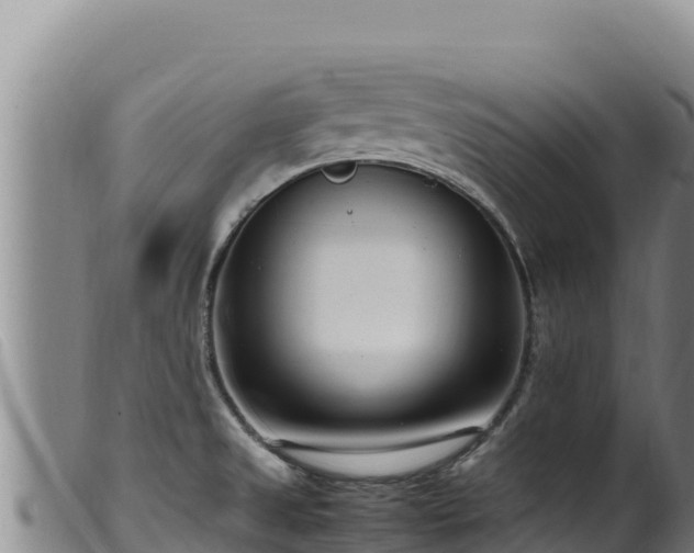 X0000099551525200805231139