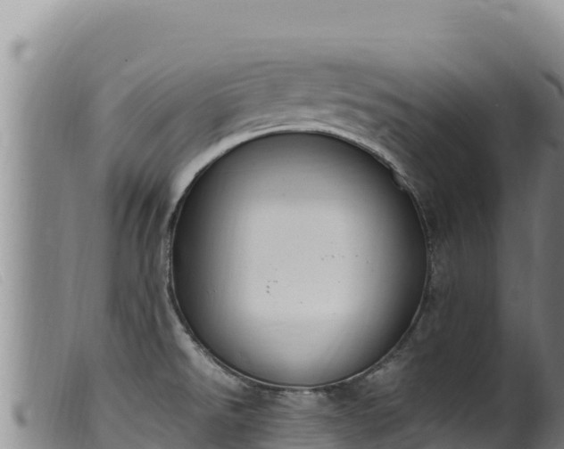 X0000099551526200805231139