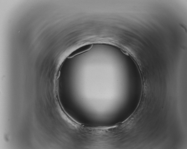 X0000099551528200805231139