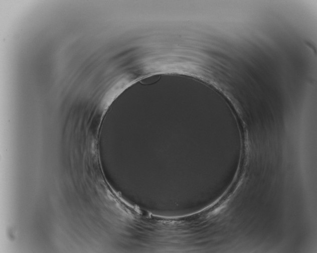 X0000099551529200805231139
