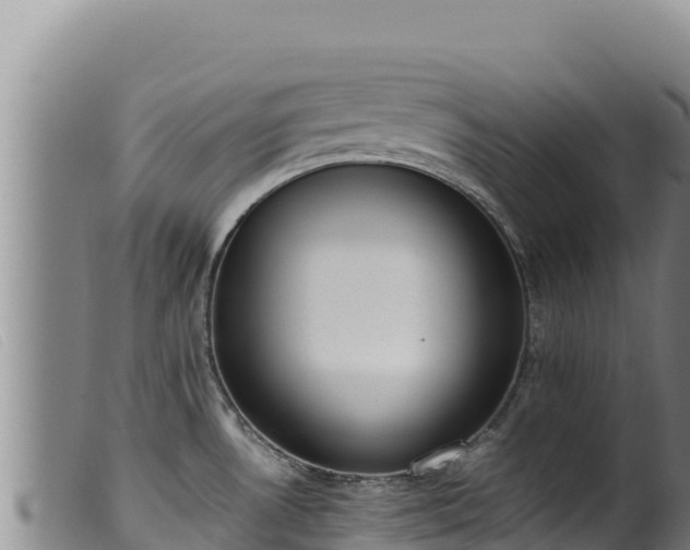 X0000099551530200805231139