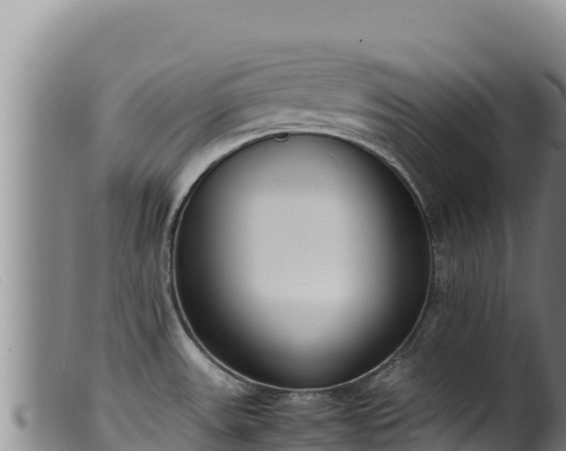 X0000099551531200805231139