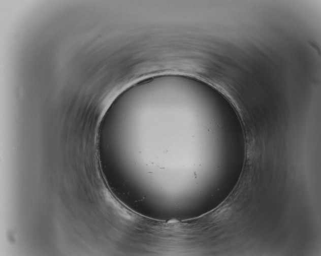 X0000099551532200805231139