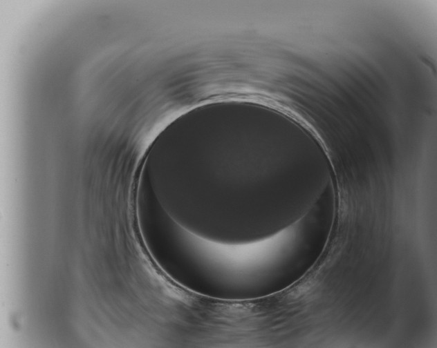 X0000099551533200805231139