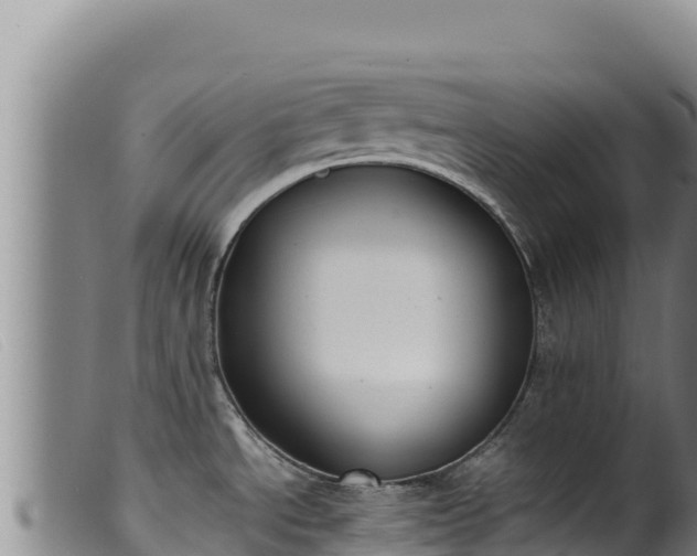 X0000099551534200805231139