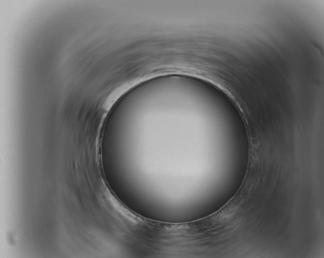 X0000099551535200805231139