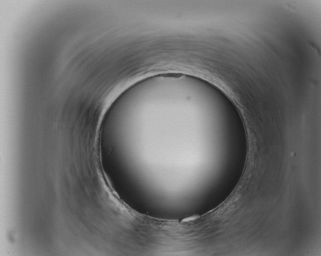 X0000099551536200805231139