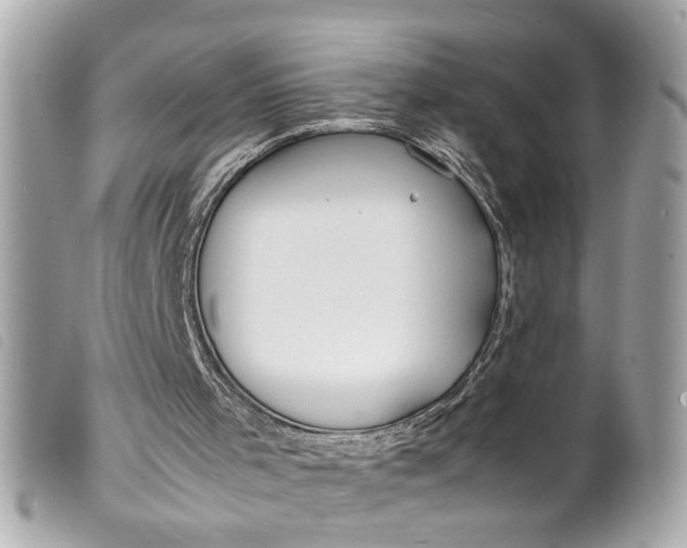 X0000099550001200805301530