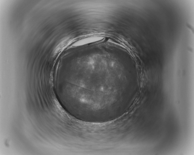 X0000099550002200805301530