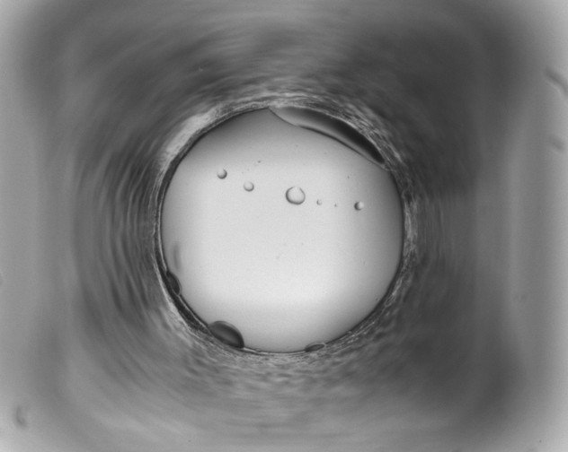 X0000099550003200805301530