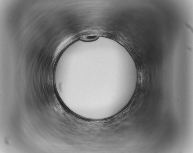 X0000099550004200805301530