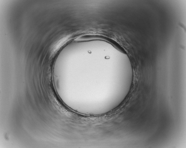 X0000099550005200805301530