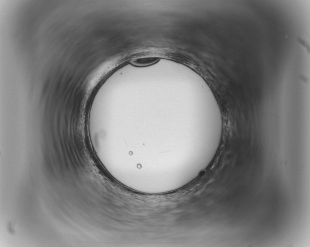 X0000099550006200805301530