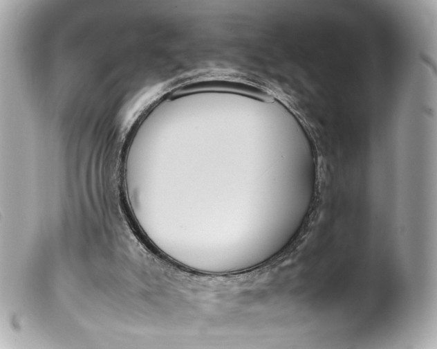 X0000099550007200805301530