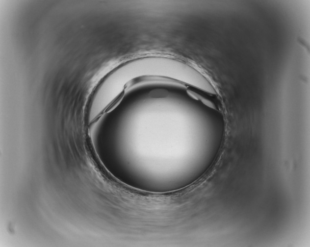 X0000099550008200805301530