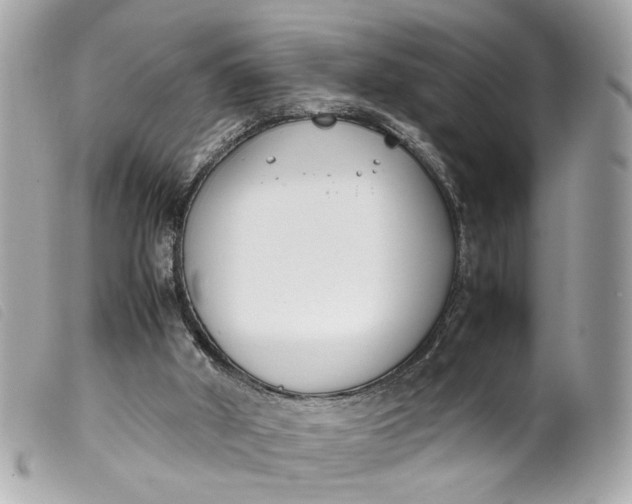 X0000099550010200805301530