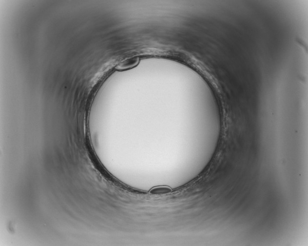 X0000099550011200805301530