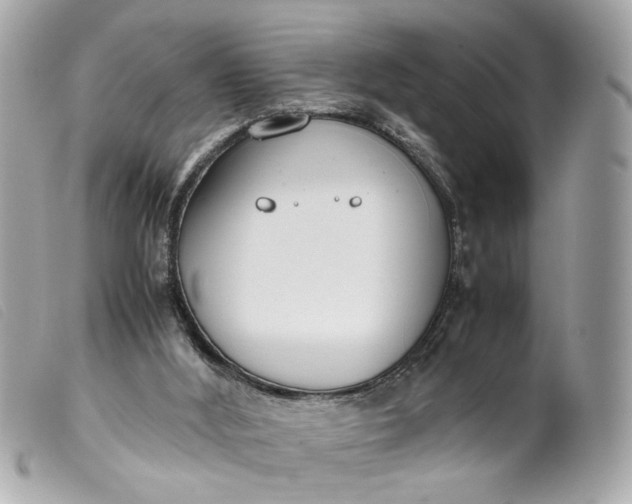 X0000099550012200805301530