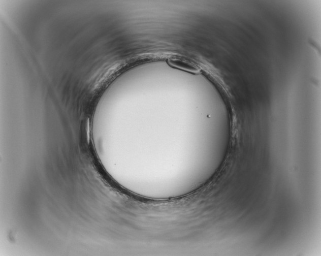 X0000099550013200805301530