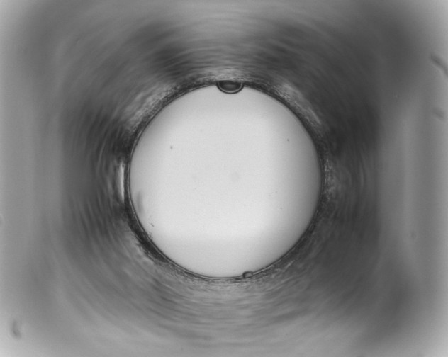 X0000099550014200805301530