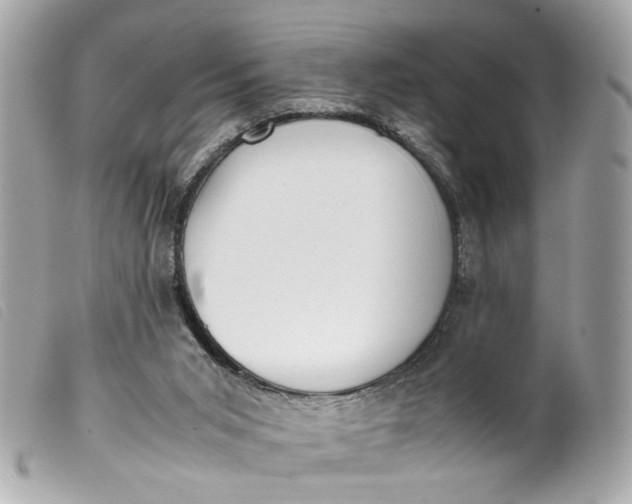 X0000099550015200805301530