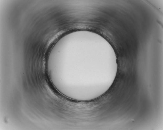 X0000099550016200805301530