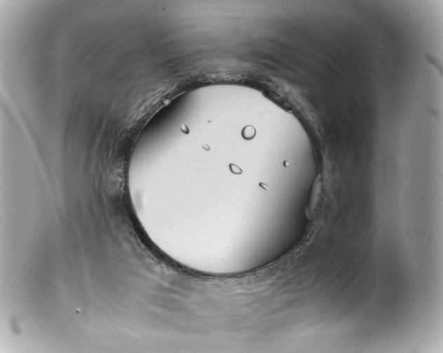 X0000099550017200805301530