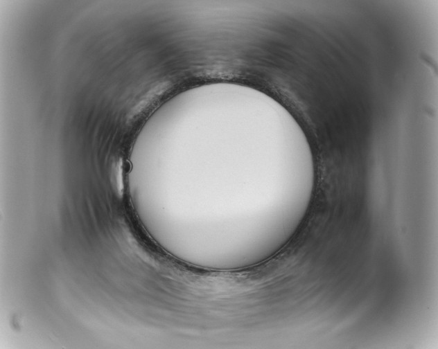 X0000099550020200805301530