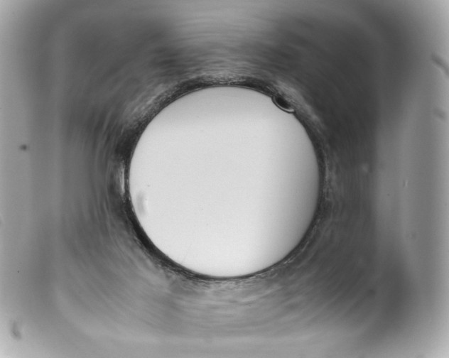 X0000099550021200805301530