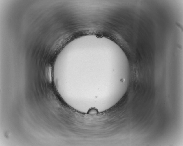 X0000099550022200805301530