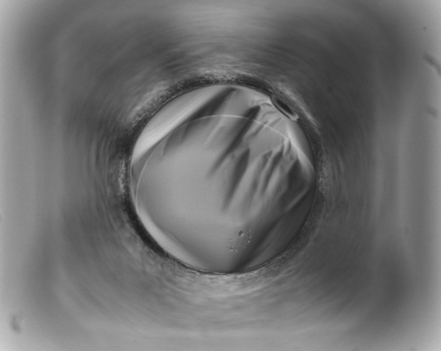 X0000099550023200805301530