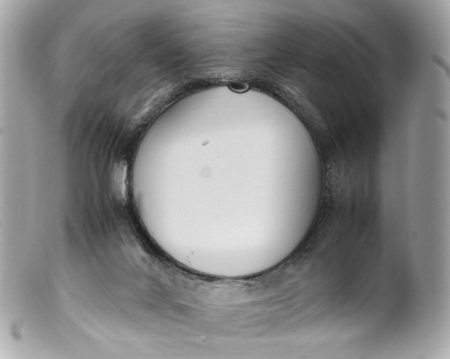 X0000099550024200805301530