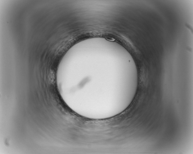 X0000099550025200805301530