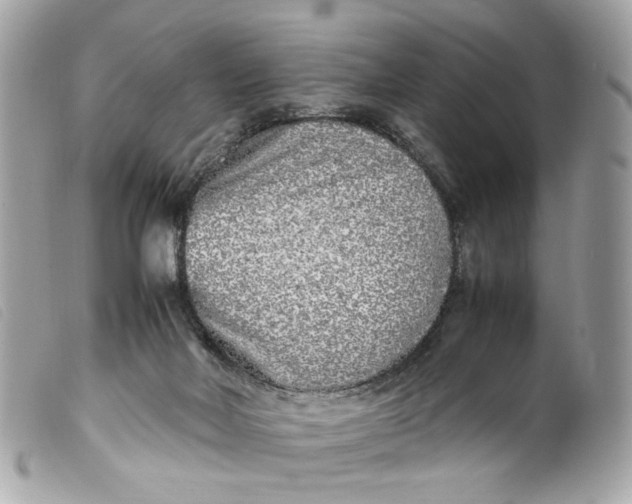 X0000099550026200805301530