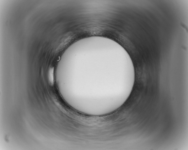 X0000099550028200805301530