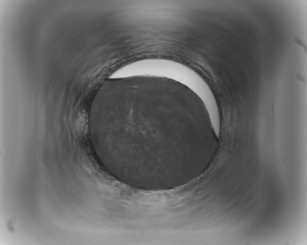 X0000099550029200805301530