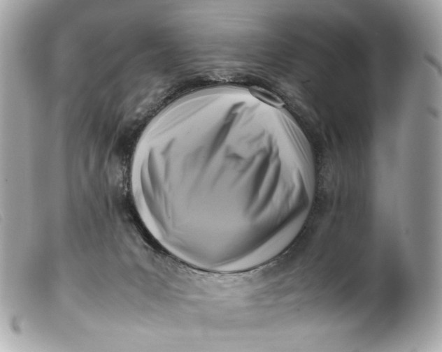 X0000099550031200805301530