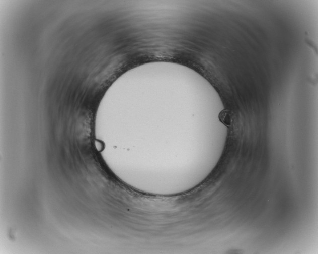 X0000099550032200805301530