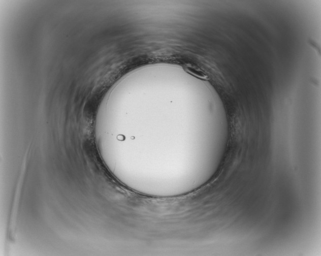 X0000099550033200805301530