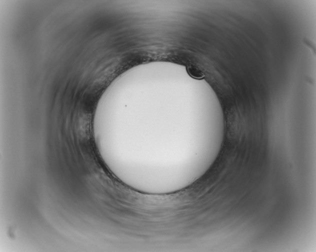 X0000099550034200805301530