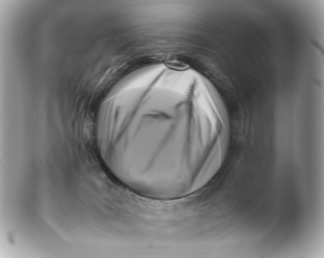 X0000099550035200805301530