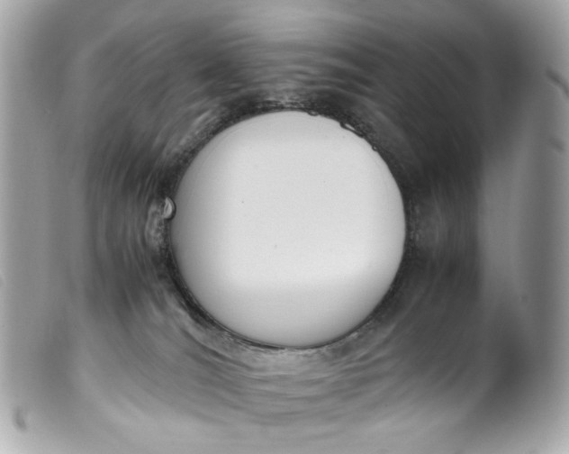 X0000099550036200805301530