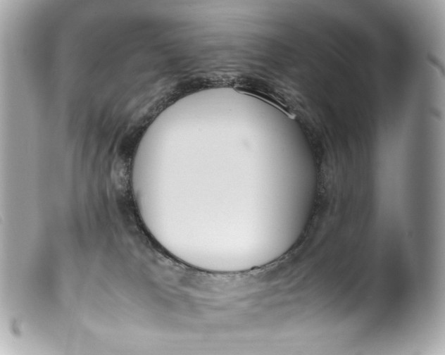 X0000099550037200805301530