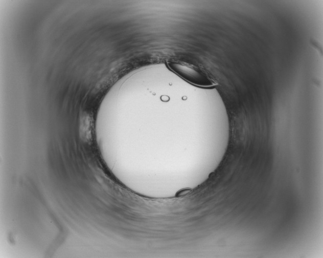 X0000099550038200805301530