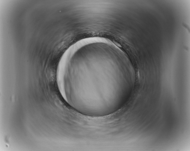 X0000099550039200805301530