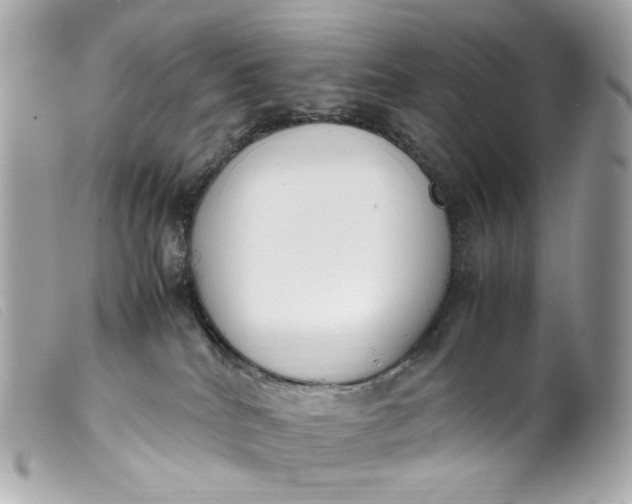 X0000099550040200805301530