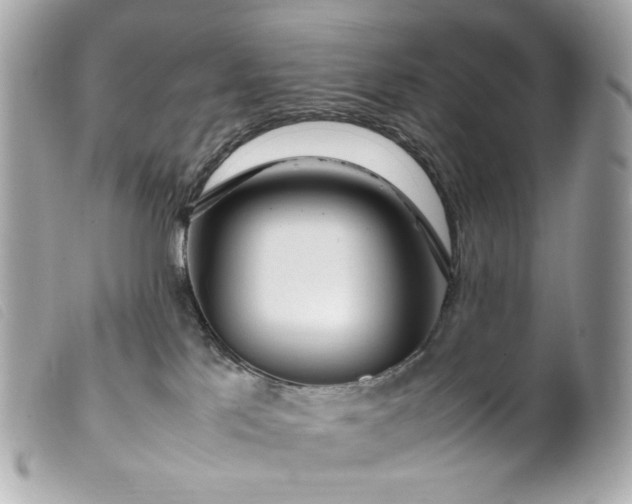 X0000099550041200805301530